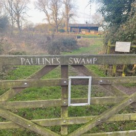 Paulines-Swamp.jpeg:cts:1:57